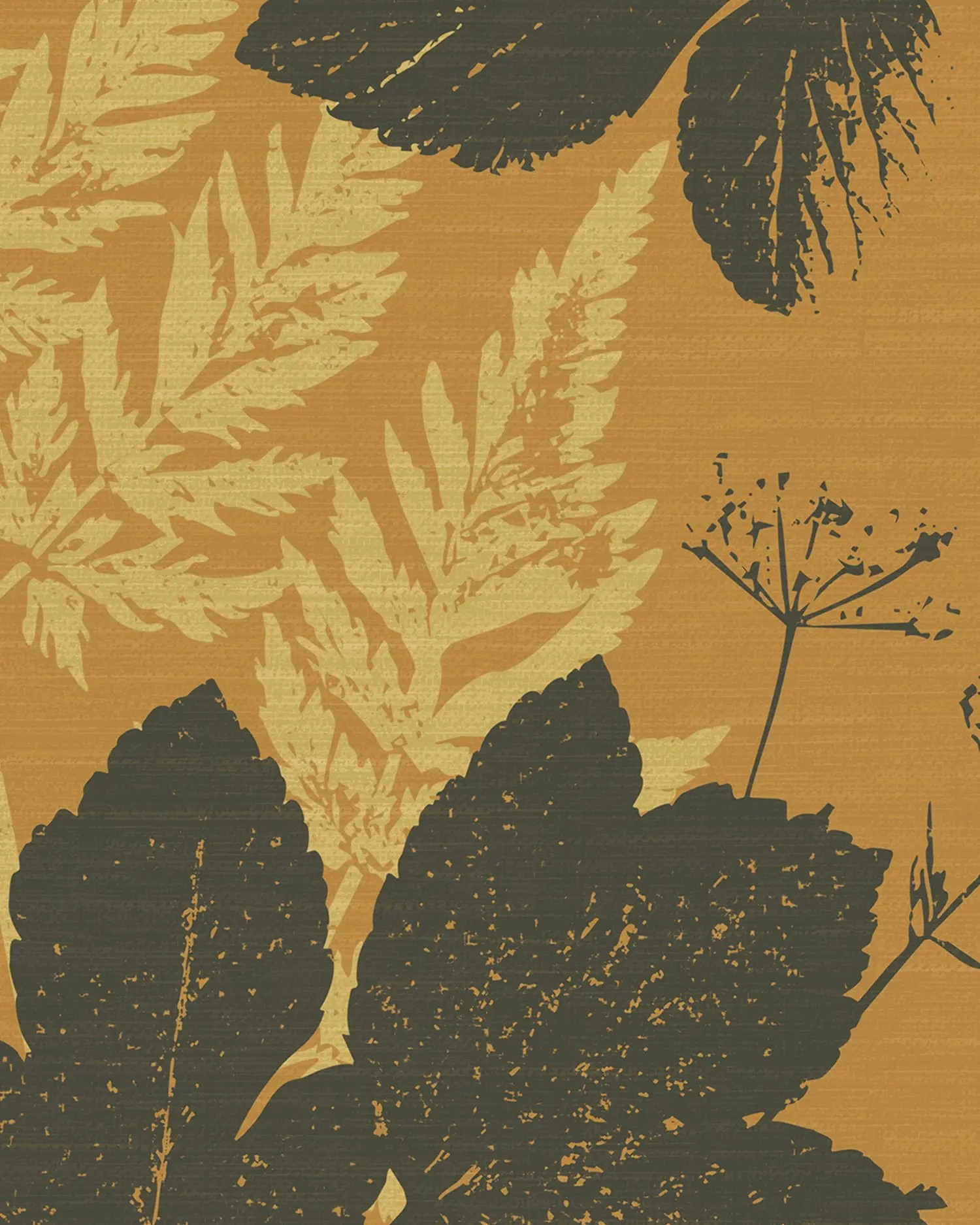 Alexanders Parsley – Horse Parsley by Claire Templer Design