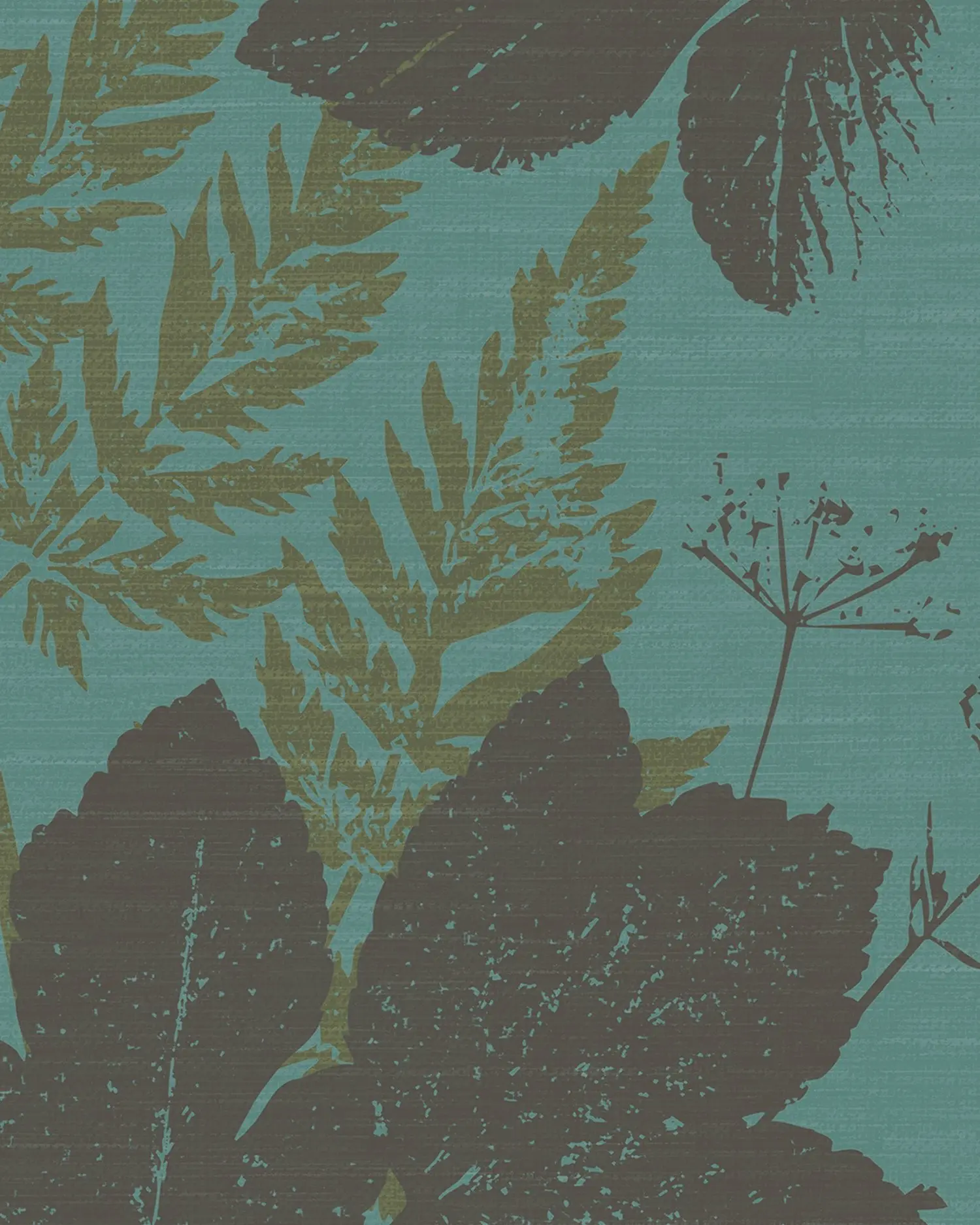 Alexanders Parsley – Pot Herb by Claire Templer Design