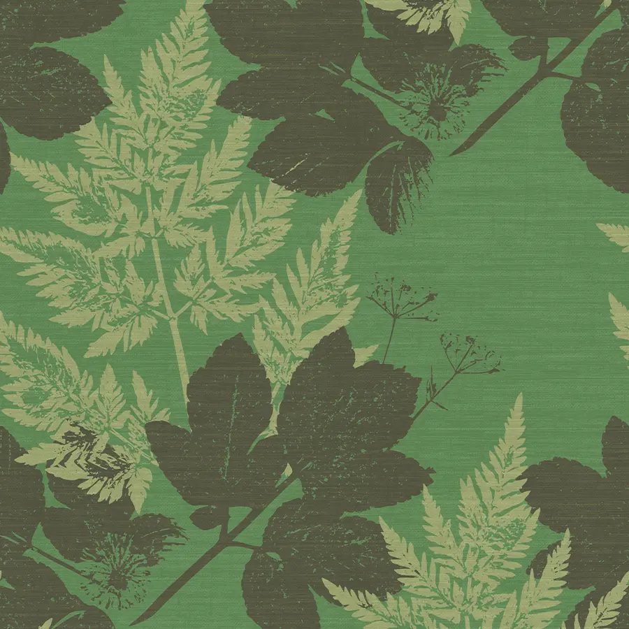 Alexanders Parsley – Roman Celery