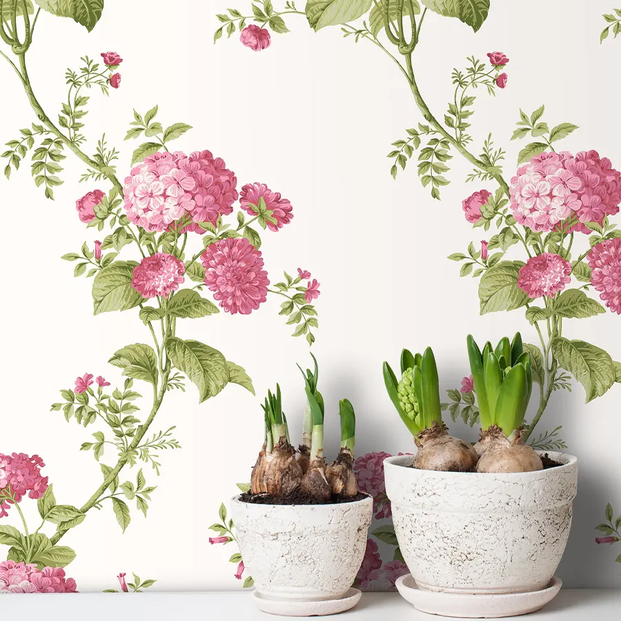 Heidi in Rose Wallpaper