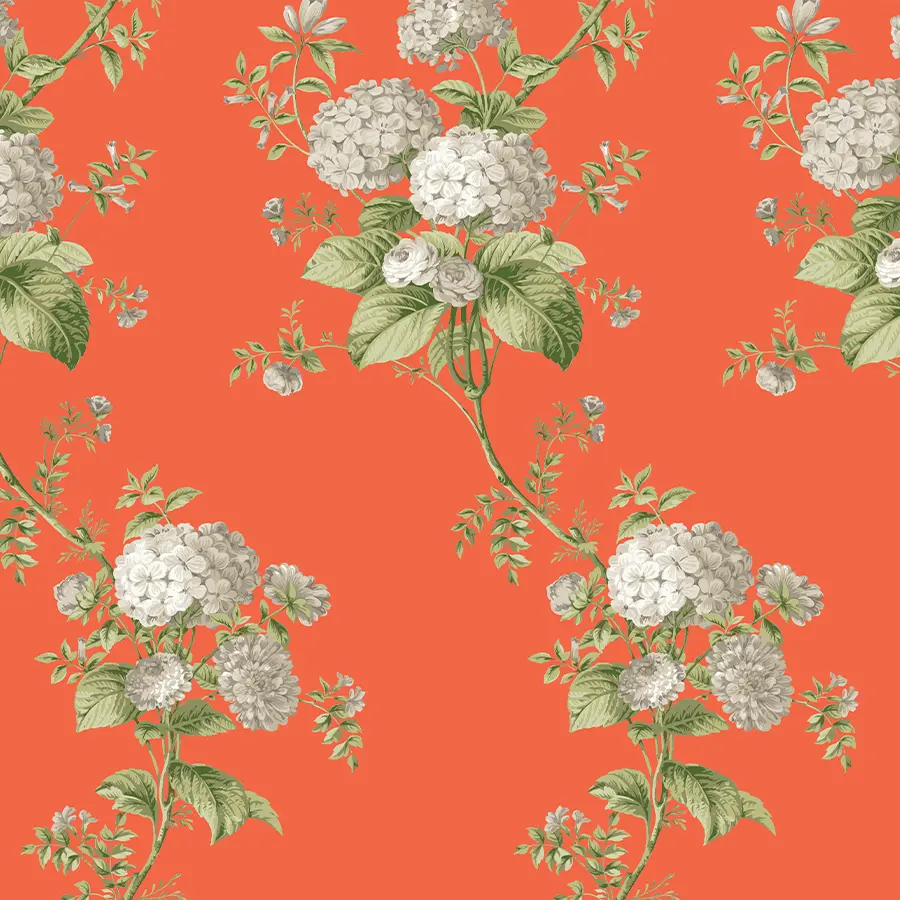 Heidi in Persimmon Wallpaper