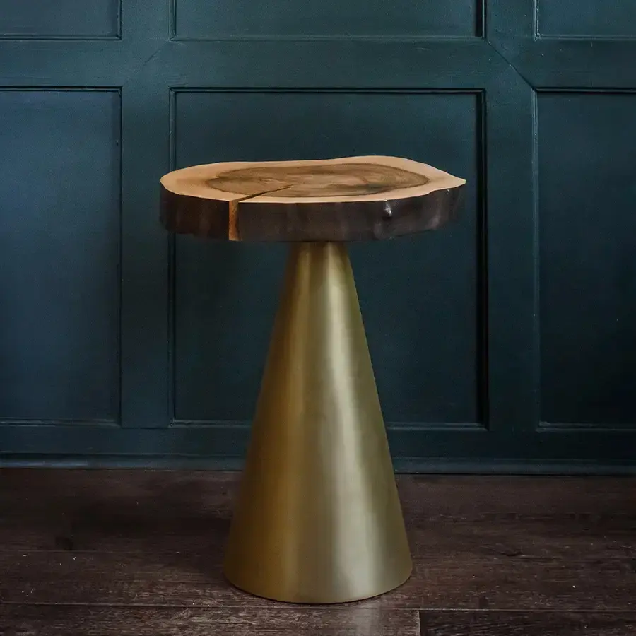 Tamasine Osher bronze side table