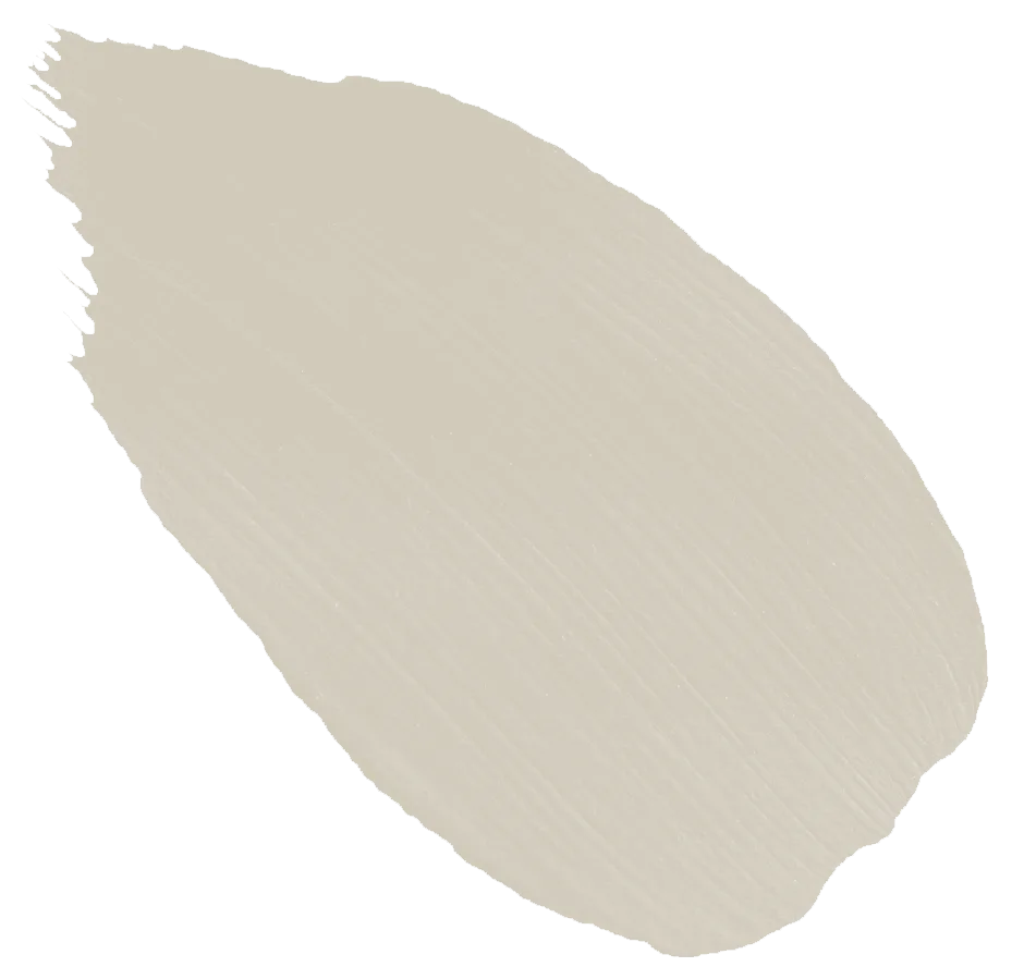 104. Greylag Goose