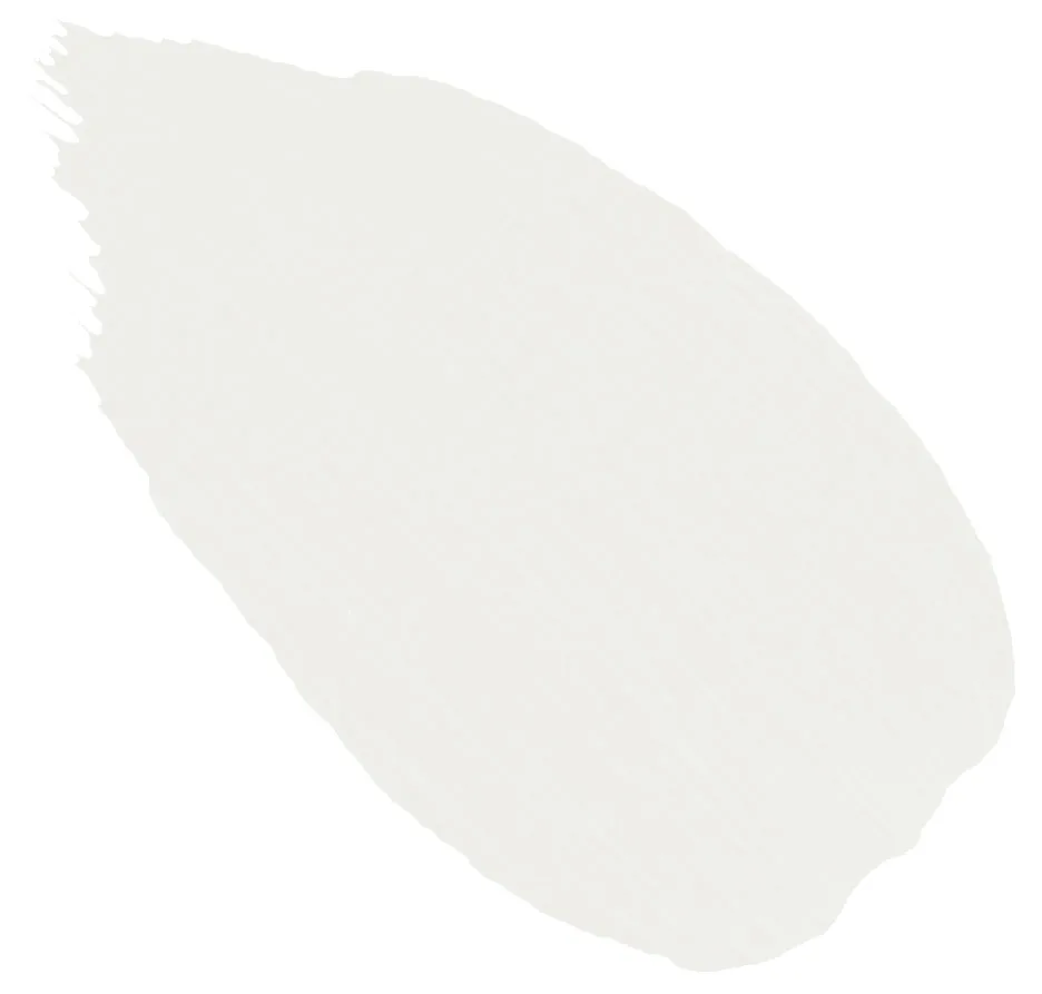 13. Dolphin
