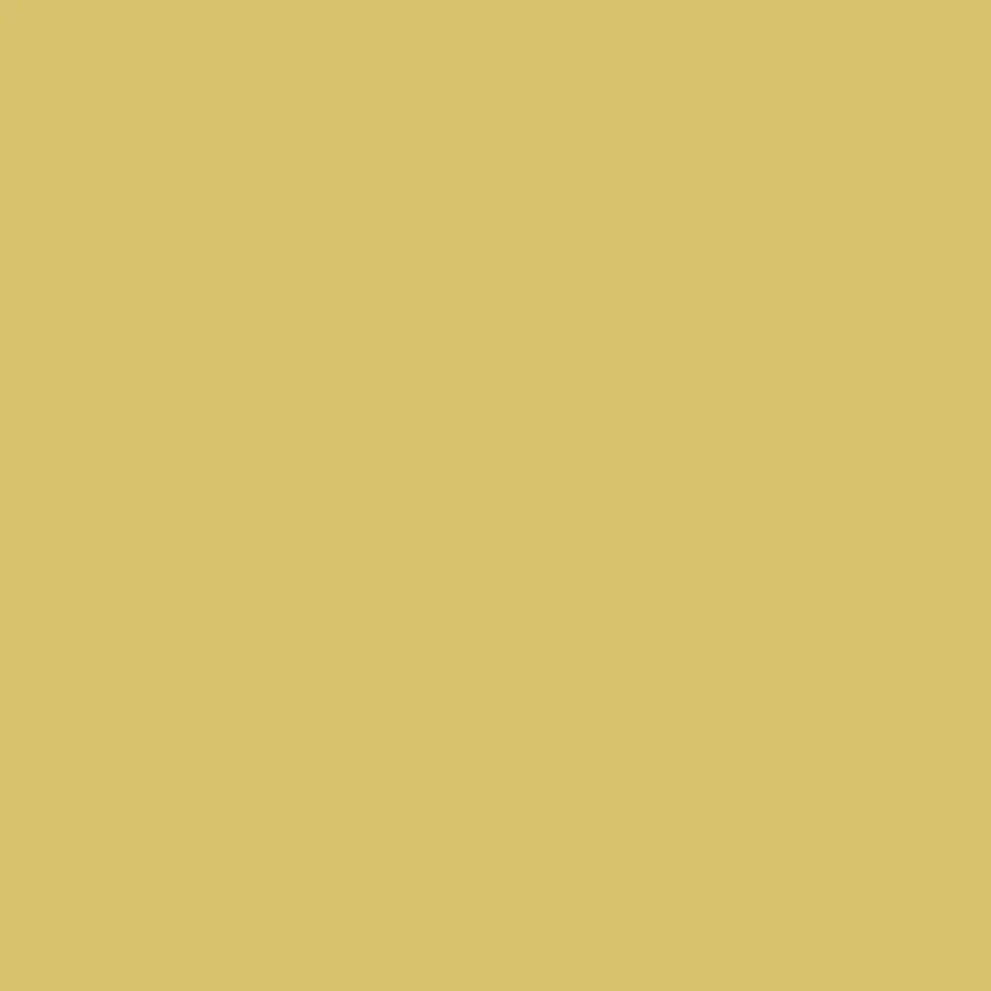169. French Mustard