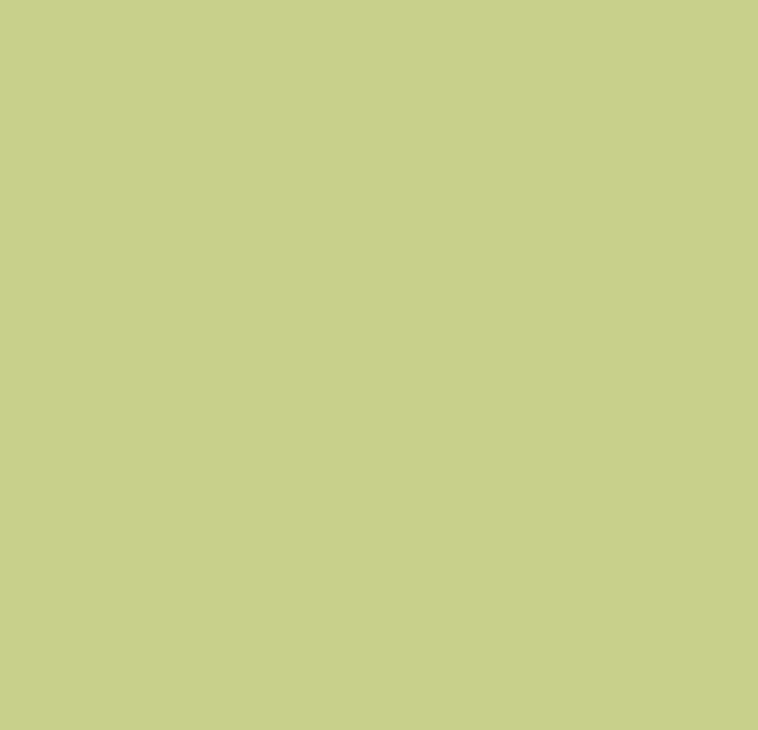 184 Concorde, Green Paint