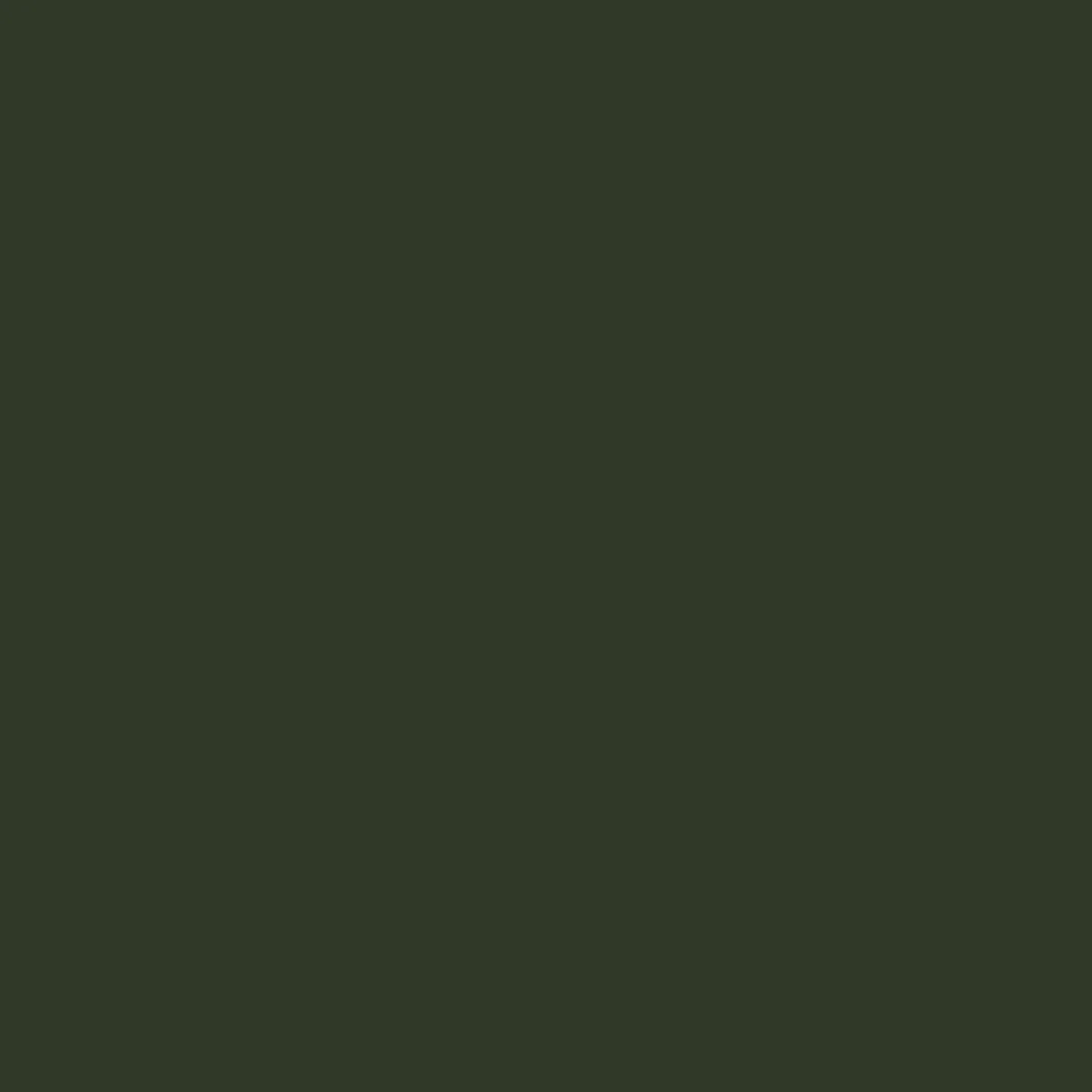 198. Conifer