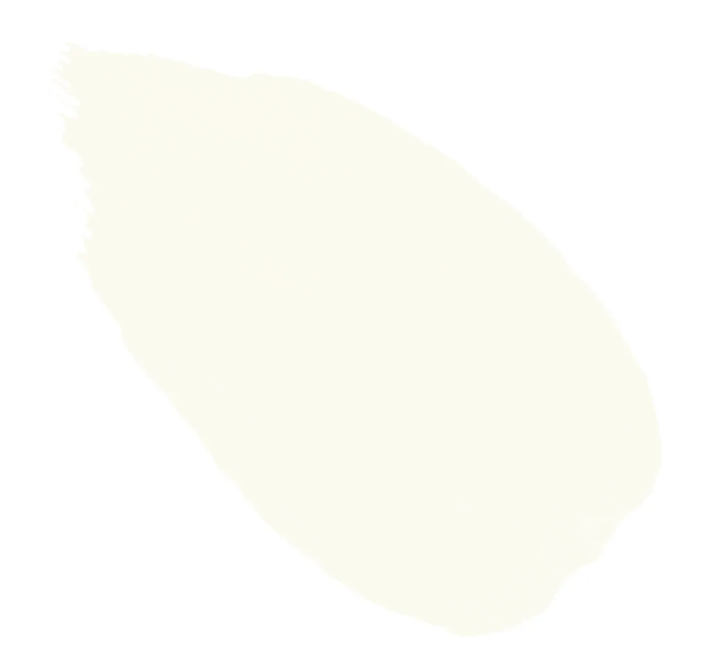2. Barn Owl