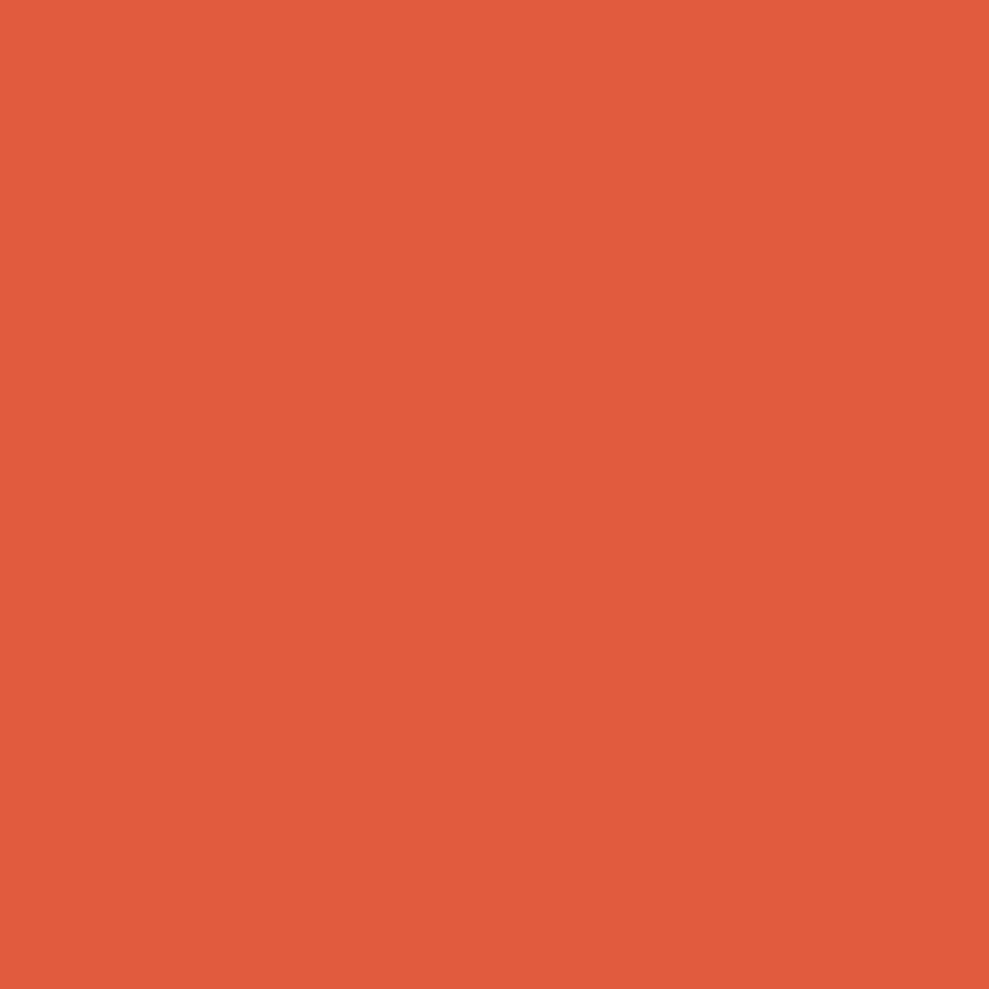 Shout orange paint