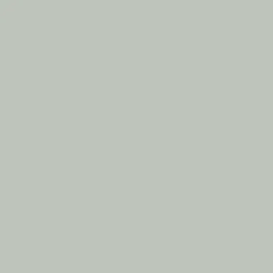 Winter coat grey green paint colour
