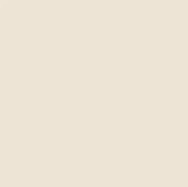 Timeless warm neutral paint colour