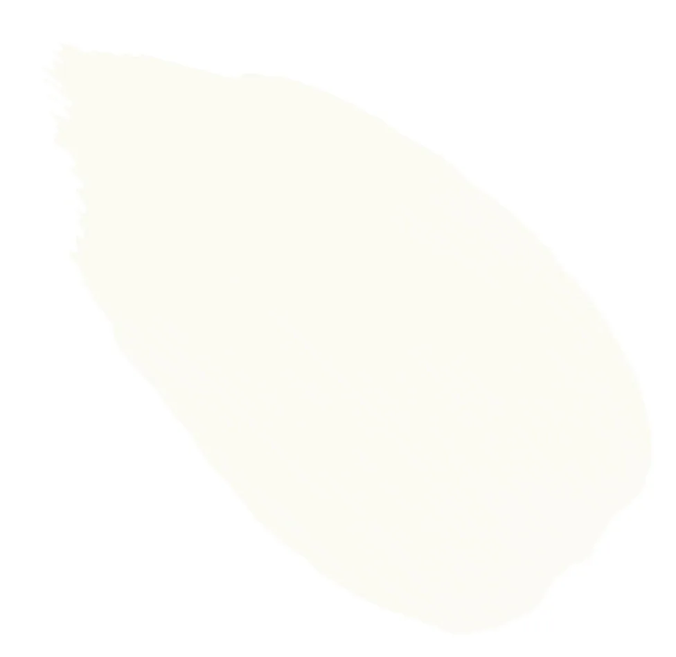 241. Avocet
