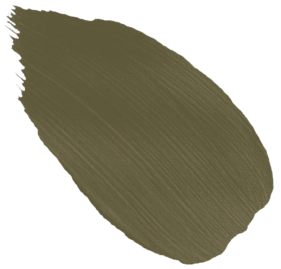 256. Scolt Head