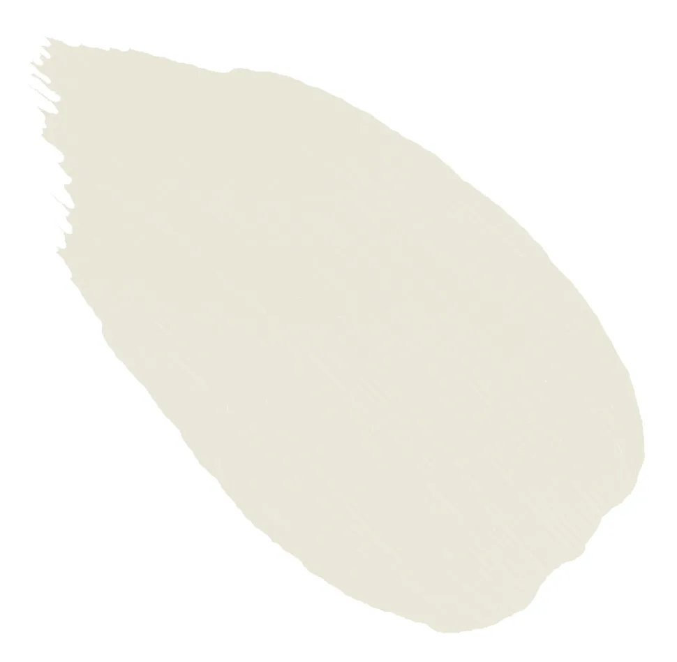 26. Seal Pup