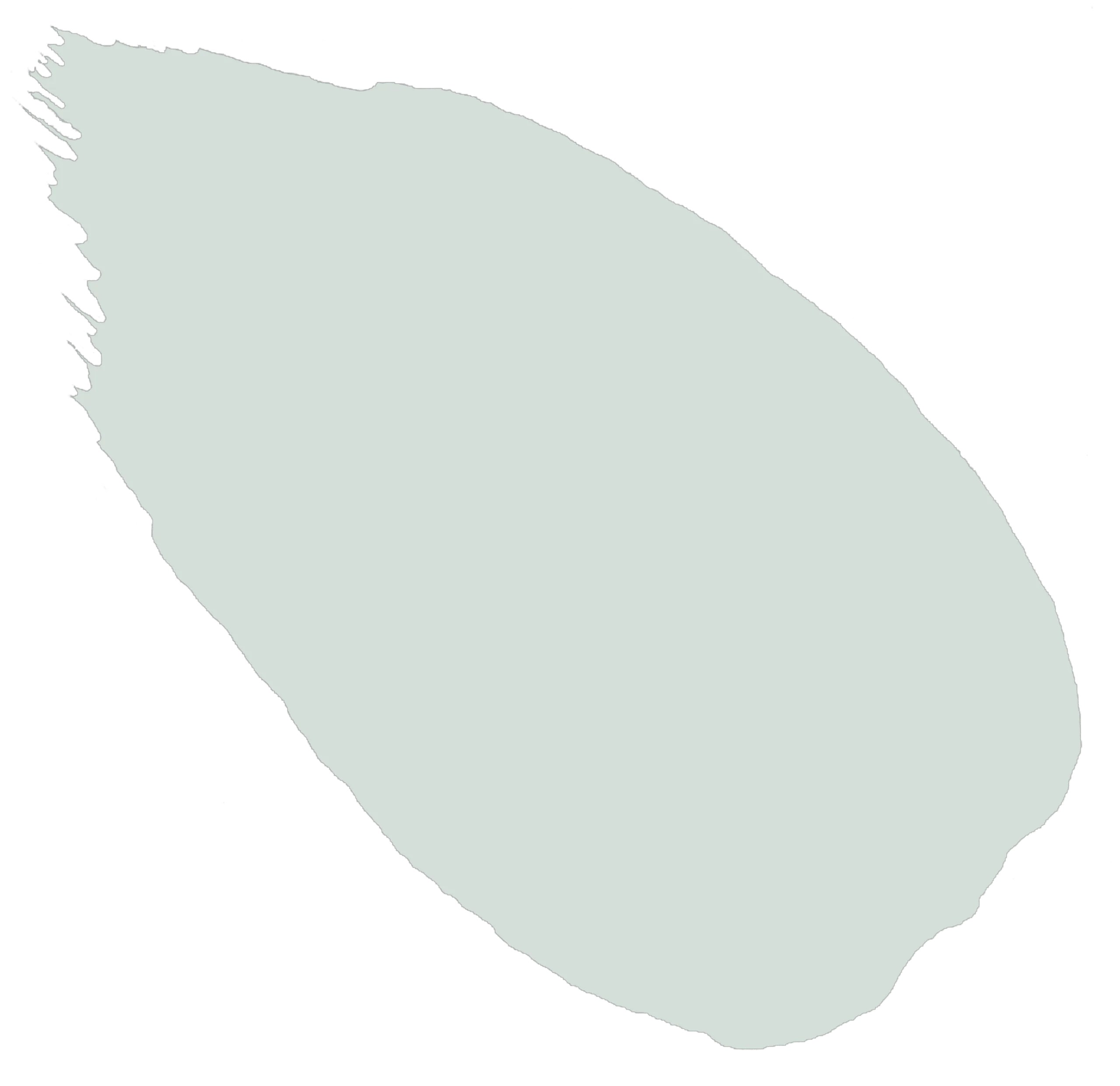 261. Salt Fog