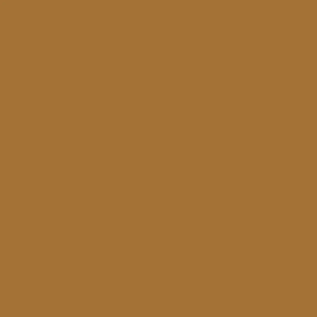 265. Shelduck