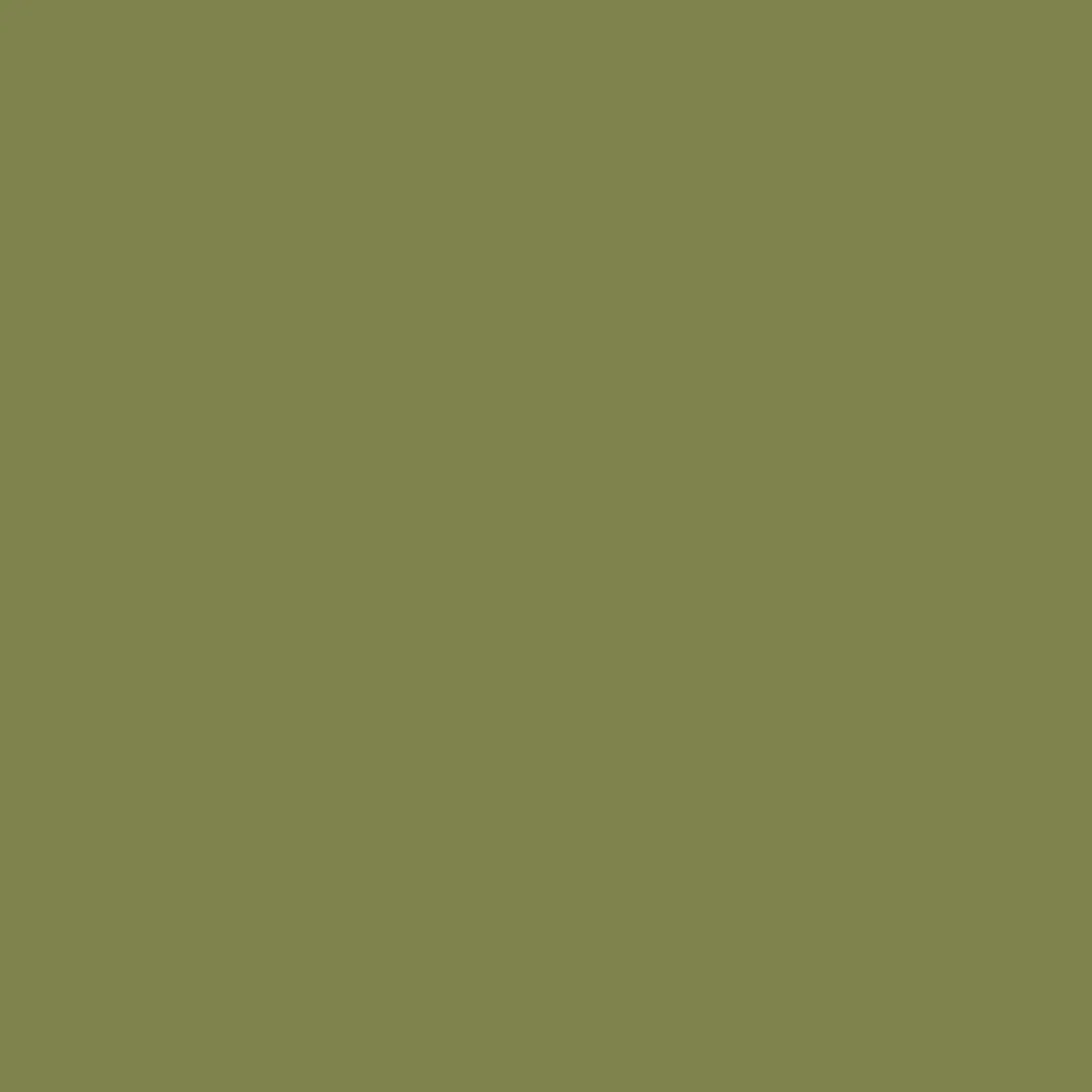  Rewilding green paint