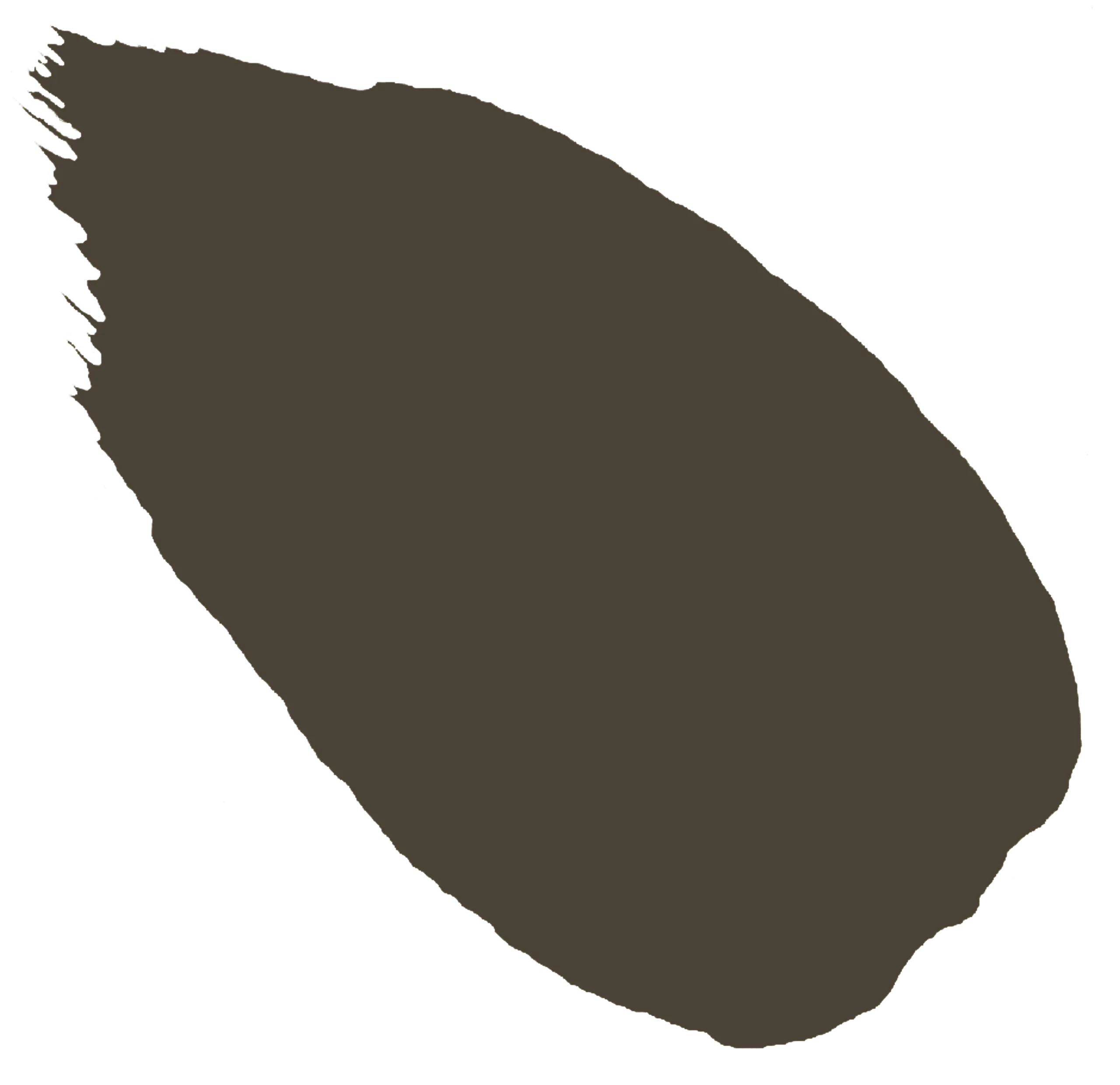 Pipistrelle