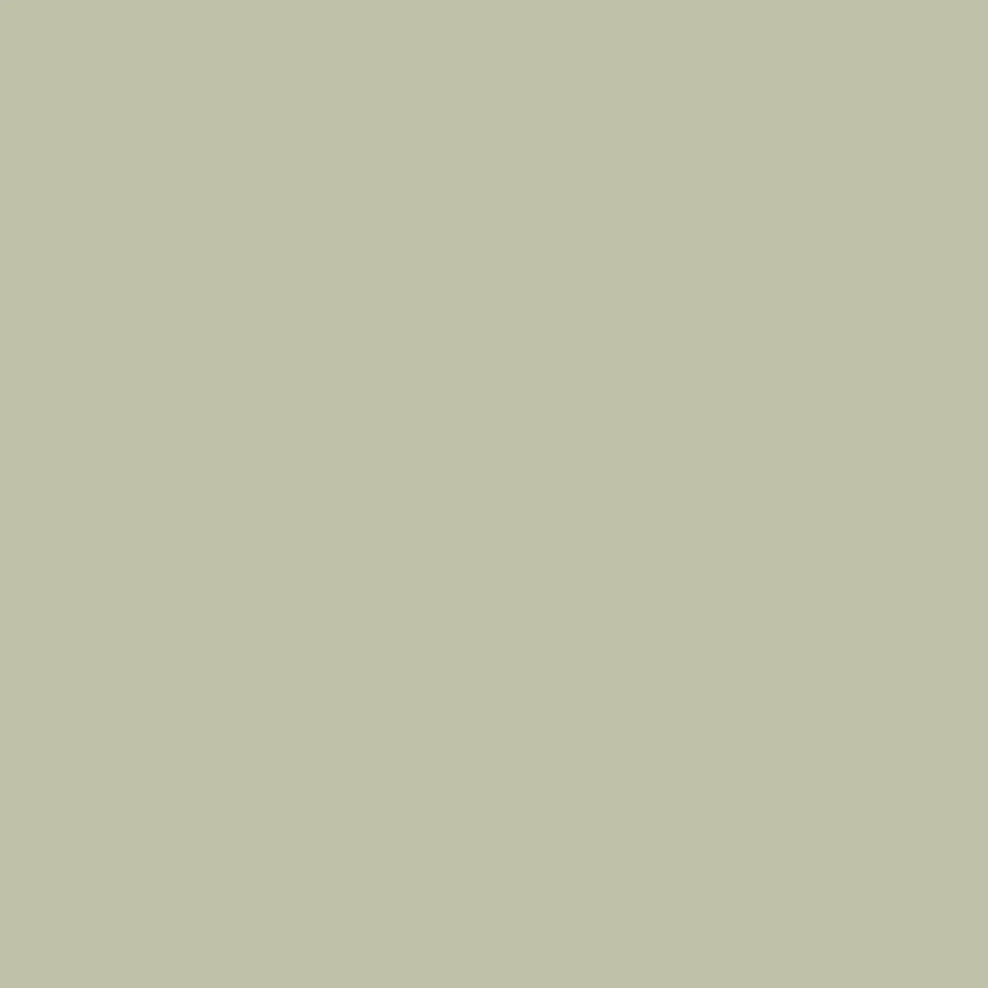 47. Oregano