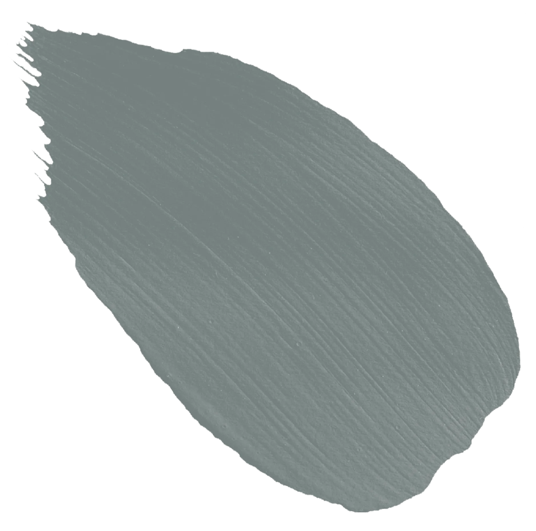 57. Marram Grass