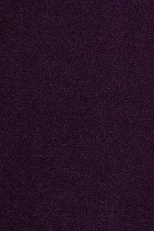 Opera in Aubergine