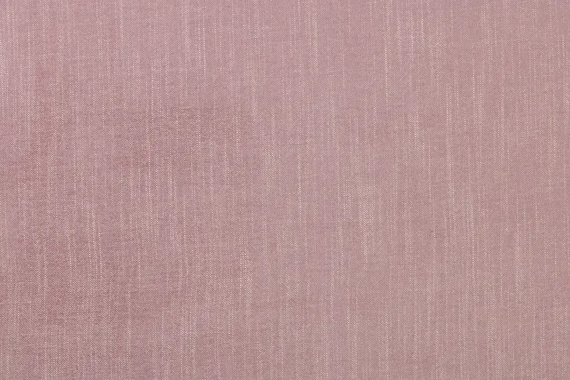 Symphony in Lilac